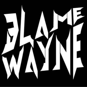 Blame Wayne